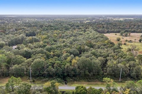 Land in Starke, Florida № 2128483 - photo 3