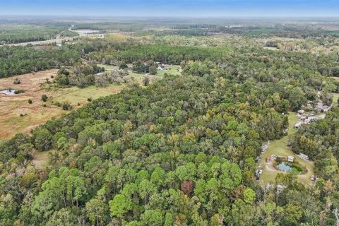 Land in Starke, Florida № 2128483 - photo 6