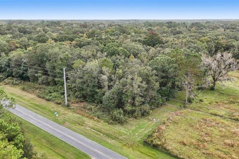 Land in Starke, Florida № 2128483 - photo 7