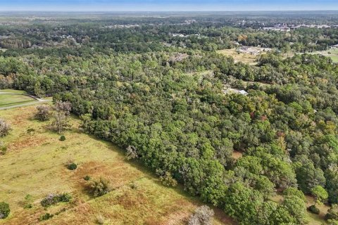 Land in Starke, Florida № 2128483 - photo 5