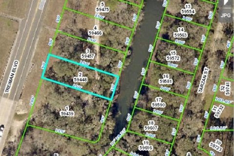 Terreno en venta en Dade City, Florida № 1372077 - foto 2