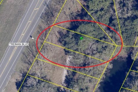 Terreno en venta en Dade City, Florida № 1372077 - foto 1