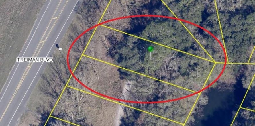 Terreno en Dade City, Florida № 1372077