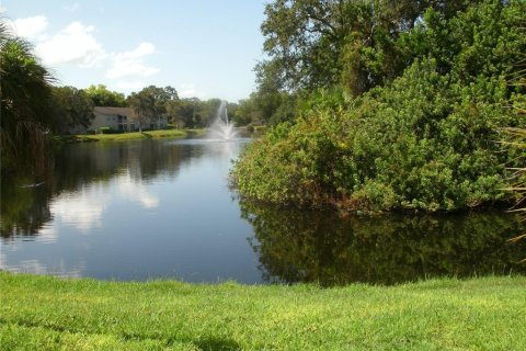 Copropriété à louer à Bradenton, Floride: 1 chambre, 57.41 m2 № 2157666 - photo 13