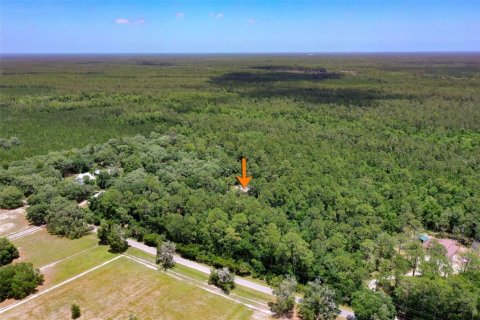 House in Bunnell, Florida 4 bedrooms, 212.1 sq.m. № 2237240 - photo 3