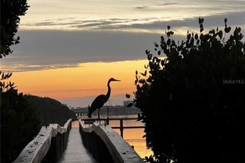 Copropriété à louer à Bradenton Beach, Floride: 2 chambres, 104.14 m2 № 2138386 - photo 20