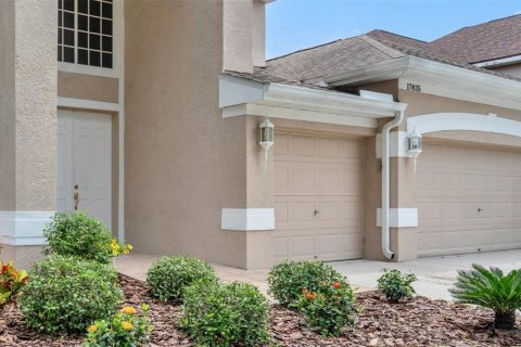 Casa en alquiler en Tampa, Florida, 4 dormitorios, 327.02 m2 № 1895162 - foto 4