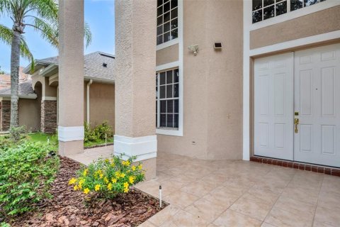 Casa en alquiler en Tampa, Florida, 4 dormitorios, 327.02 m2 № 1895162 - foto 3