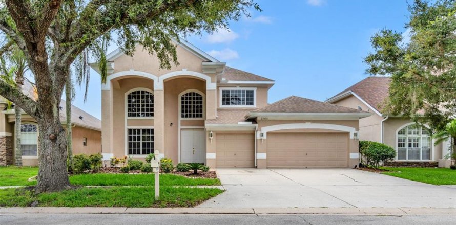 House in Tampa, Florida 4 bedrooms, 327.02 sq.m. № 1895162