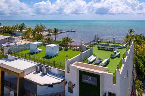 House in Islamorada, Village of Islands, Florida 7 bedrooms, 945.93 sq.m. № 2013314 - photo 4