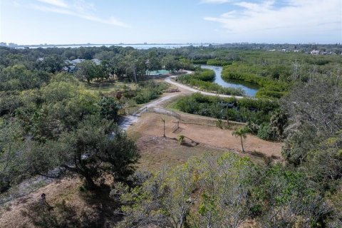 Casa en venta en Saint Petersburg, Florida, 4 dormitorios, 257.06 m2 № 1609801 - foto 28