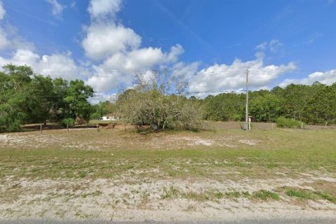 Terreno en venta en Polk City, Florida № 2235288 - foto 2