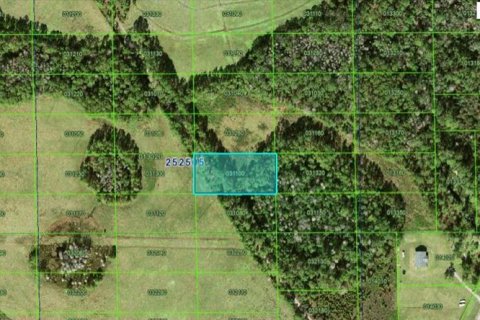 Terreno en Polk City, Florida № 2235288