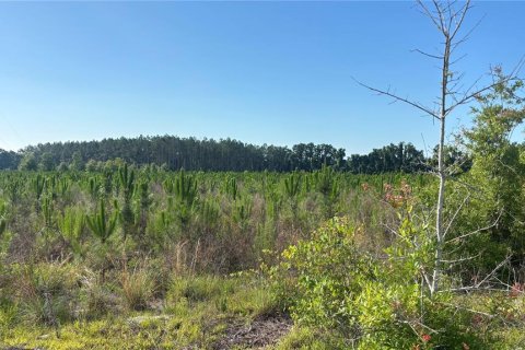 Terreno en venta en Chiefland, Florida № 1750110 - foto 2