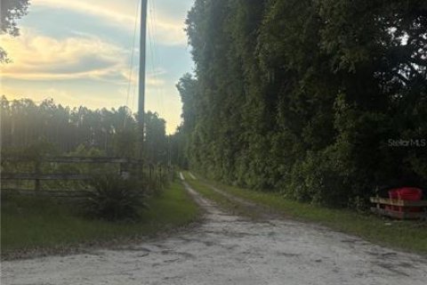 Terreno en venta en Chiefland, Florida № 1750110 - foto 5