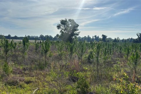 Terreno en venta en Chiefland, Florida № 1750110 - foto 3