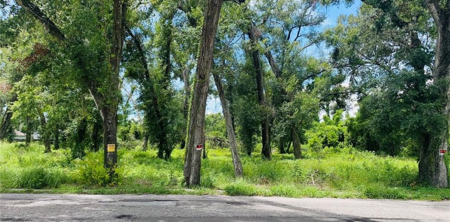 Land in Brandon, Florida № 1882804
