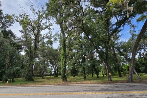 Terrain à vendre à Brandon, Floride № 1882804 - photo 8