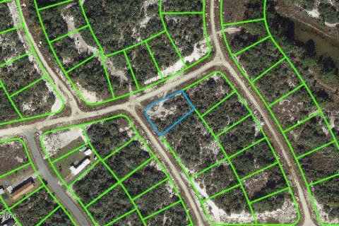 Land in Lake Placid, Florida № 2234965