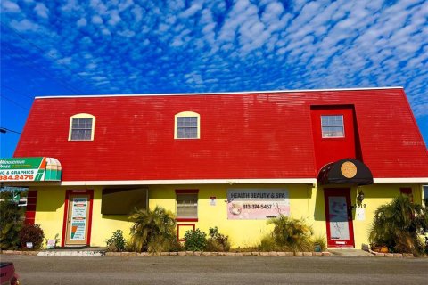 Commercial property in Tampa, Florida 280.01 sq.m. № 1535217 - photo 4