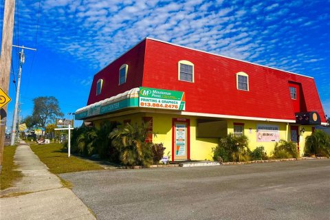 Commercial property in Tampa, Florida 280.01 sq.m. № 1535217 - photo 7