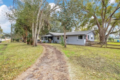 Villa ou maison à vendre à Dover, Floride: 3 chambres, 118.08 m2 № 2112256 - photo 2