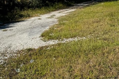 Terreno en venta en Clearwater, Florida № 1564677 - foto 13
