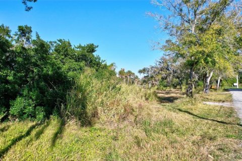 Land in Bradenton, Florida № 1421157 - photo 15