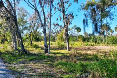 Land in Bradenton, Florida № 1421157 - photo 17