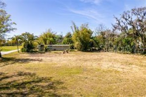 Land in Bradenton, Florida № 1421157 - photo 11