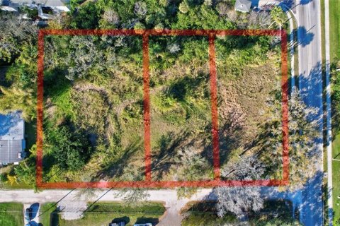 Land in Bradenton, Florida № 1421157 - photo 1