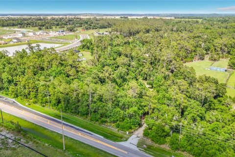 Casa en venta en Wesley Chapel, Florida, 3 dormitorios, 194.35 m2 № 2113772 - foto 28