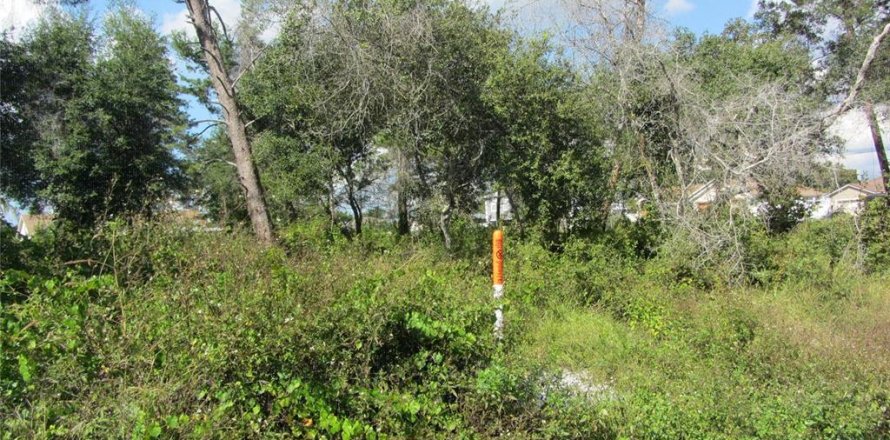 Propiedad comercial en Deltona, Florida № 214621
