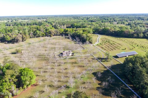 Terreno en venta en Alachua, Florida № 801807 - foto 1