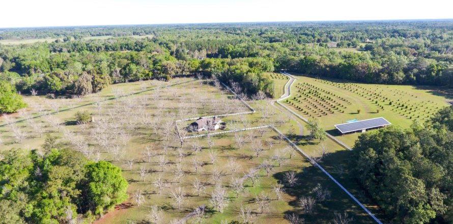 Terreno en Alachua, Florida № 801807