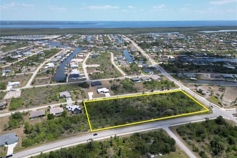 Land in Port Charlotte, Florida № 1636278 - photo 2