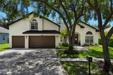 House in Fish Hawk, Florida 5 bedrooms, 269.6 sq.m. № 2093313