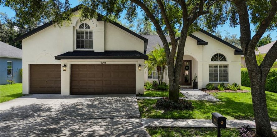 House in Fish Hawk, Florida 5 bedrooms, 269.6 sq.m. № 2093313