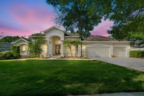 House in Lutz, Florida 4 bedrooms, 407.66 sq.m. № 2228492