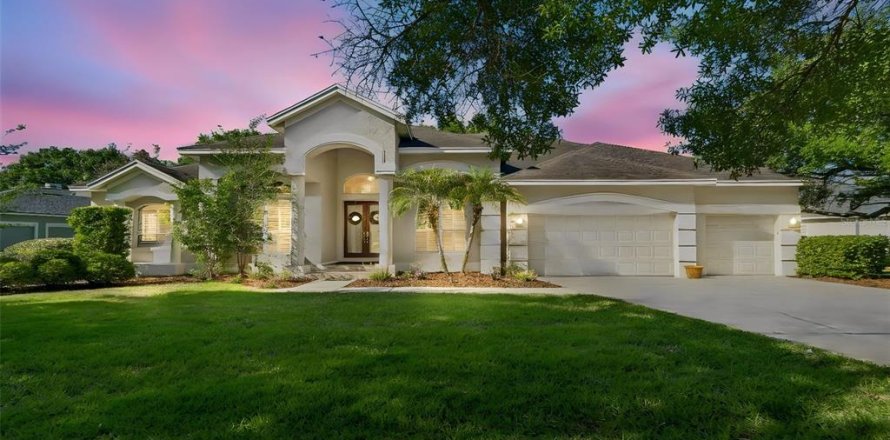House in Lutz, Florida 4 bedrooms, 407.66 sq.m. № 2228492