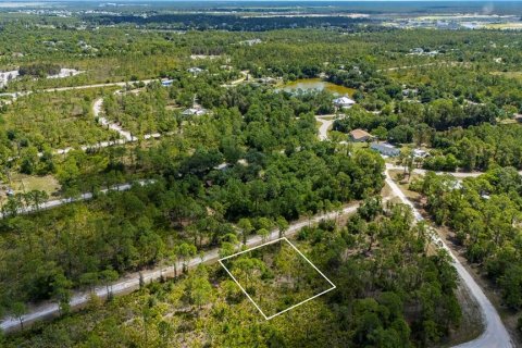 Land in Punta Gorda, Florida № 2233592 - photo 5