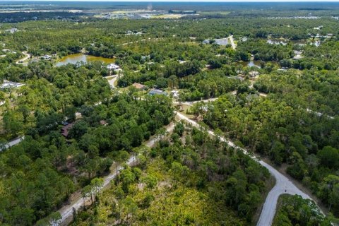 Land in Punta Gorda, Florida № 2233592 - photo 4