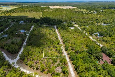 Land in Punta Gorda, Florida № 2233592 - photo 7