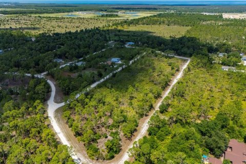 Land in Punta Gorda, Florida № 2233592 - photo 10