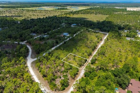 Land in Punta Gorda, Florida № 2233592 - photo 9