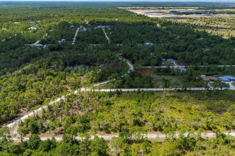 Land in Punta Gorda, Florida № 2233592 - photo 12