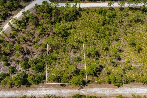 Land in Punta Gorda, Florida № 2233592 - photo 13