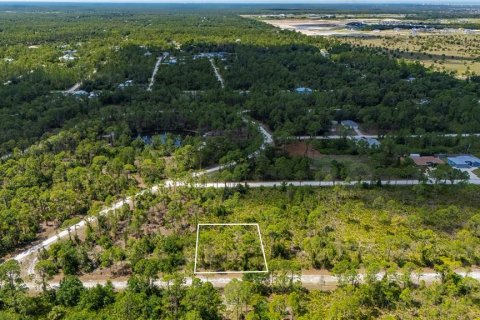 Land in Punta Gorda, Florida № 2233592 - photo 11