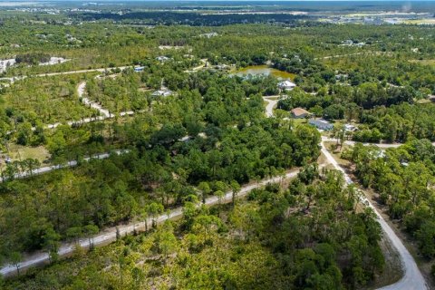 Land in Punta Gorda, Florida № 2233592 - photo 6