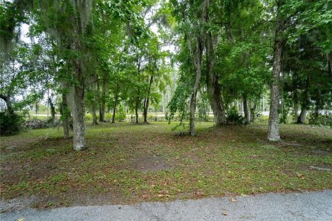 Land in Wildwood, Florida № 2275511 - photo 5